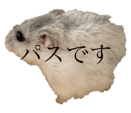 723242567