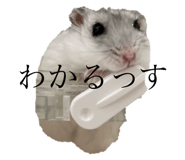 723242568