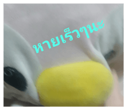 723270133