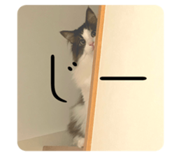723299525