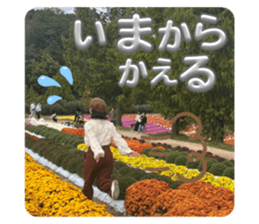 723307650