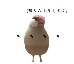 723307856