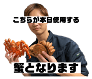 723309196