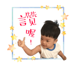 72331005