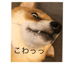 723314165
