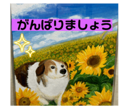 723344411