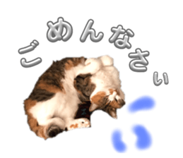 723345535