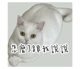 723412608