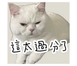 723412609