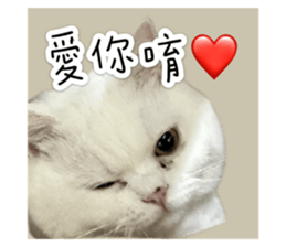 723412622