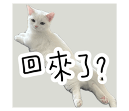 723412631