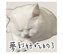 723412638