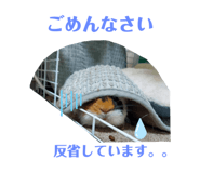 723420527