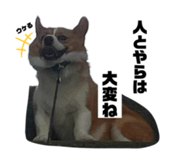 723440807