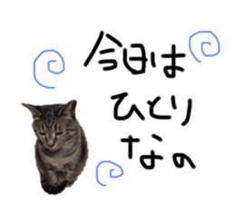 723443876