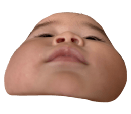 723461550