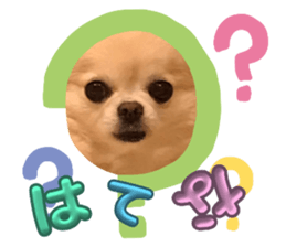 723466088