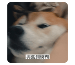 723488234