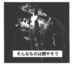 723507020