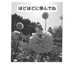 723507023
