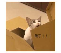 723513488