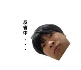 723519446