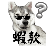 723554660