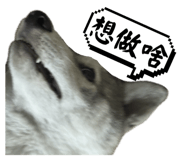 723554661
