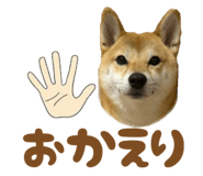723555219