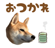 723555220