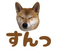 723555221