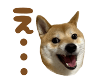 723555222