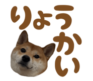 723555226