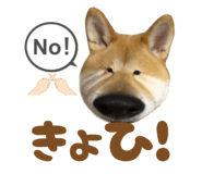 723555229
