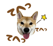723555231