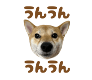 723555232