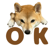 723555238