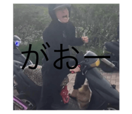 723586067