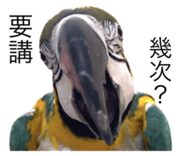 723588008