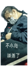 72362366