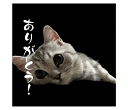 723651324