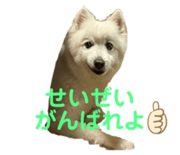 723657617