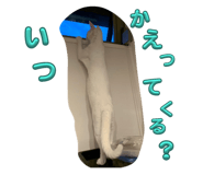 723692582