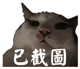 723730400