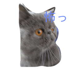723742230