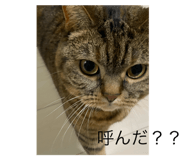 723764161