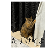 723764167