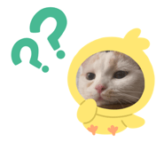 723770017