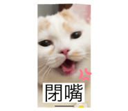 723770026