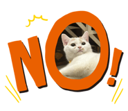 723770028